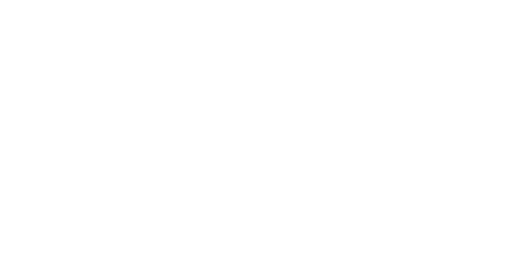 velierotortuga